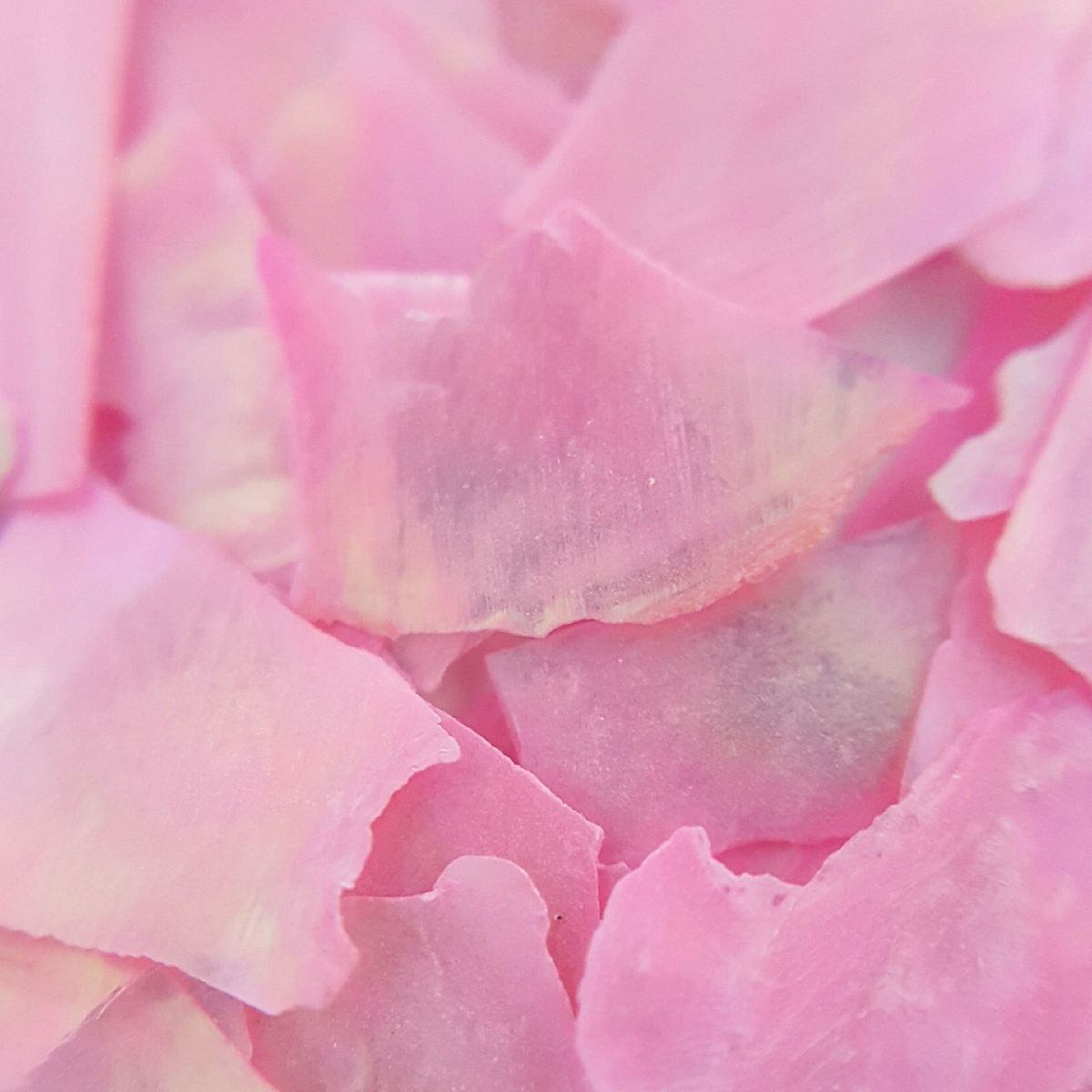 キラキラハッピーBIGシェル