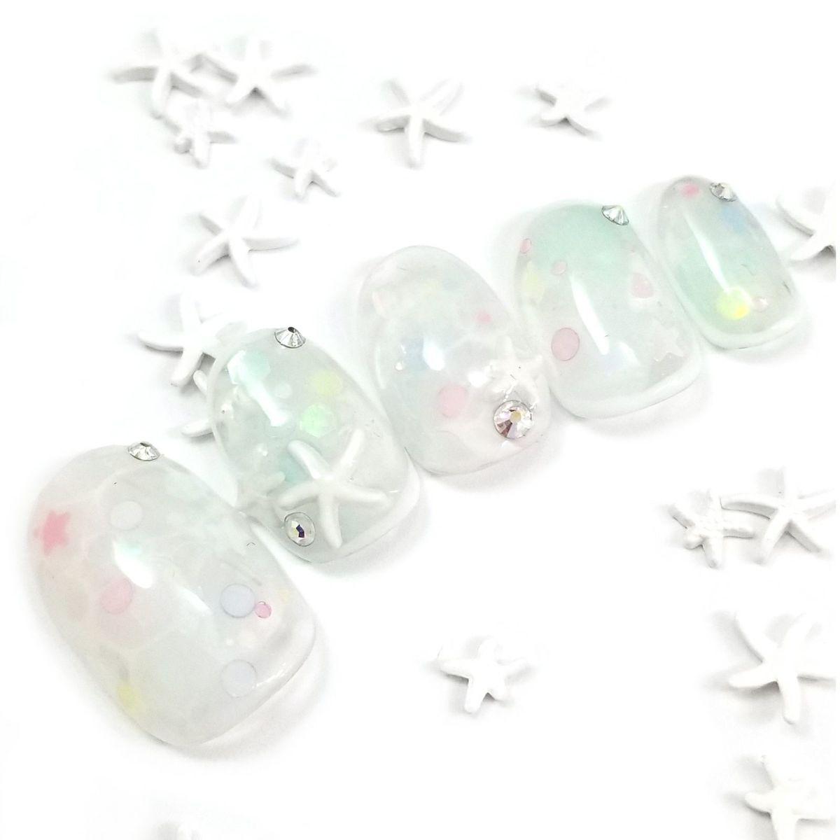 ホワイトスターフィッシュ