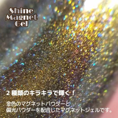 【あわちゃんレシピ付】シャインマグネットジェル【豪華5点セット】