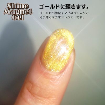 【あわちゃんレシピ付】シャインマグネットジェル【豪華5点セット】