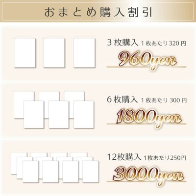 オシャレ下敷き_MTシリーズ