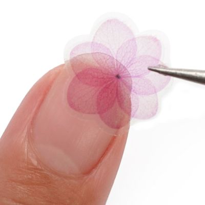 透ける紫陽花カラーシール【全2種】