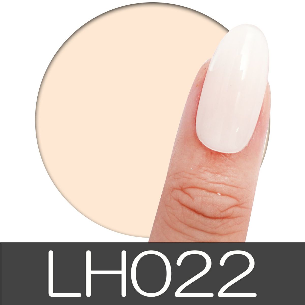 【テキスト】ロングハードジェル あわちゃんねる限定 パステルセット