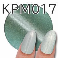 KPM017 キラピカマグネットジェル パステルシリーズターコイズ
