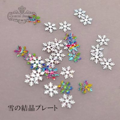 雪の結晶プレート*ハピホロ*