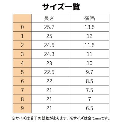 マグネットシェルデザイン[デザイン済ネイルチップ]