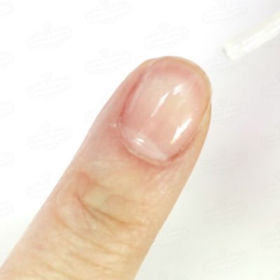 パープルコレクショングリッターズ【全11色セット】 *ハピホロシリーズ*