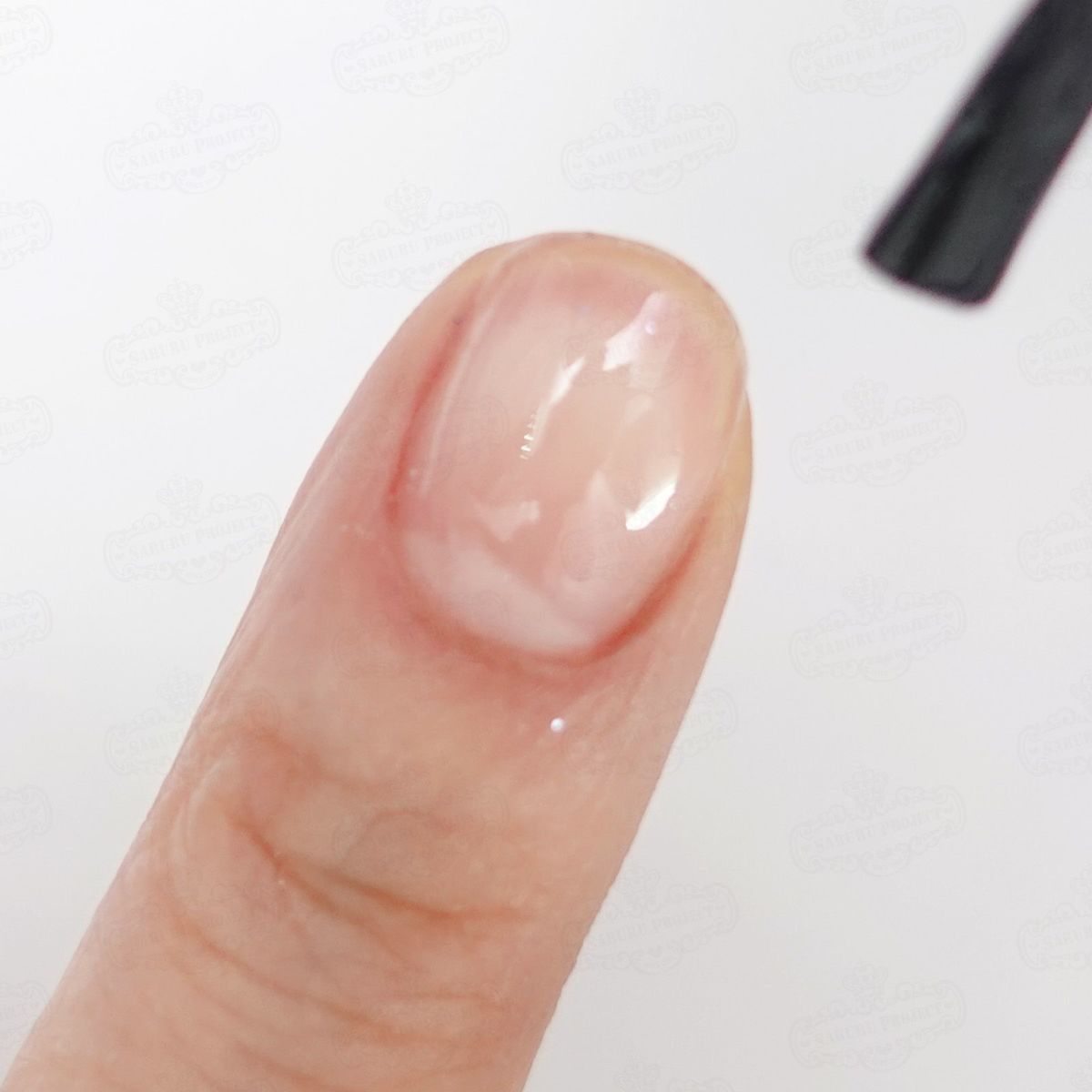 パープルコレクショングリッターズ【全11色】 *ハピホロシリーズ*