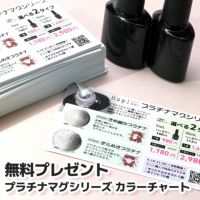 キラピカマグネットジェル プラチナカラー2種類【2色セット】[ハピジェル]