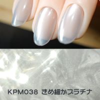 キラピカマグネットジェル プラチナカラー2種類【2色セット】[ハピジェル]