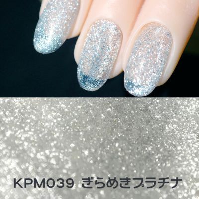 キラピカマグネットジェル プラチナカラー2種類【2色セット】[ハピジェル]