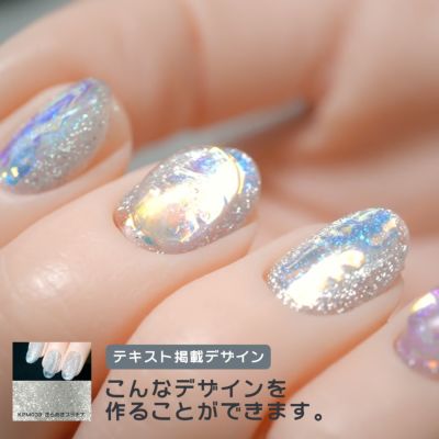 キラピカマグネットジェル プラチナカラー2種類【2色セット】[ハピジェル]