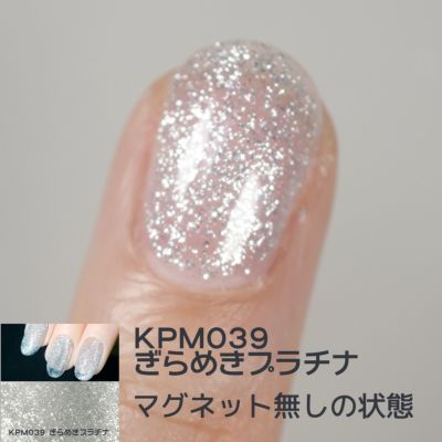 キラピカマグネットジェル プラチナカラー2種類【2色セット】[ハピジェル]