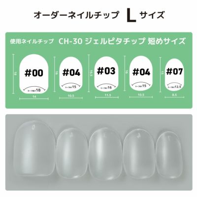Lサイズ